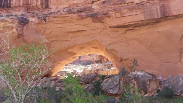 This arch in the lower Gulch was really impressive. It is massive.